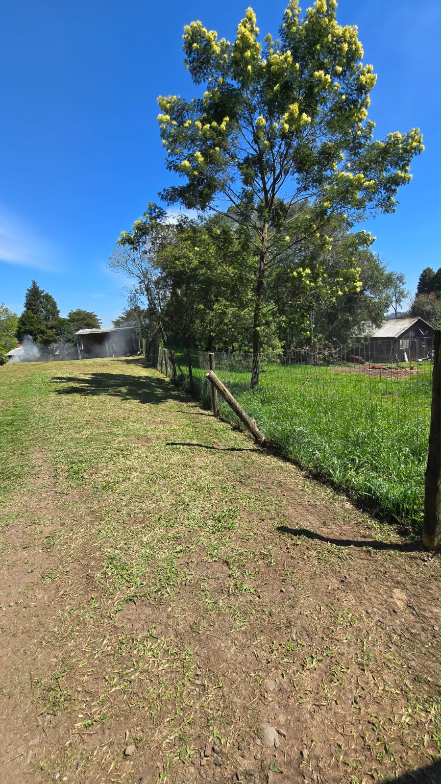Área verde cuidada pela Império Jardins